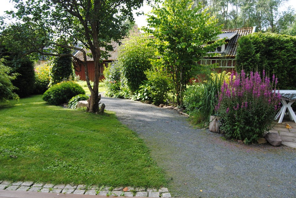 Anlägga Trädgård, Häckar, Rabatter