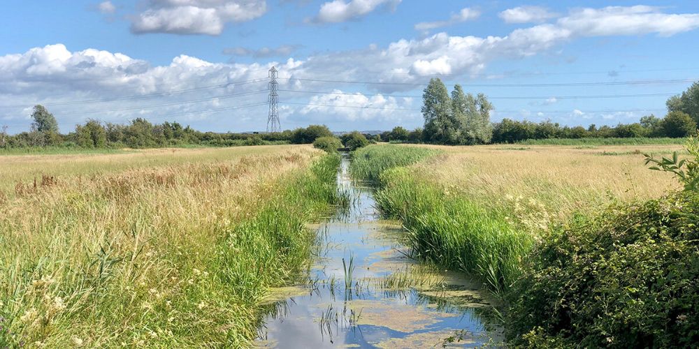 Dikning, Dikesrensning & Markavvattning