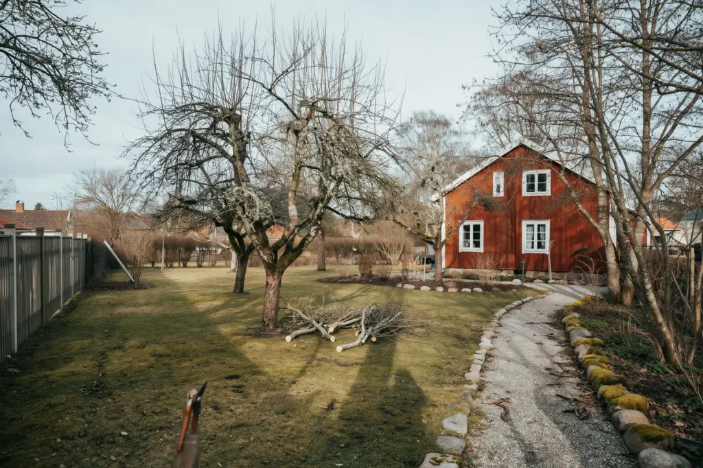 tr dbesk rning p villatomten s f r du friskare tr d b ttre ljusinsl pp och en s krare tr dg rd