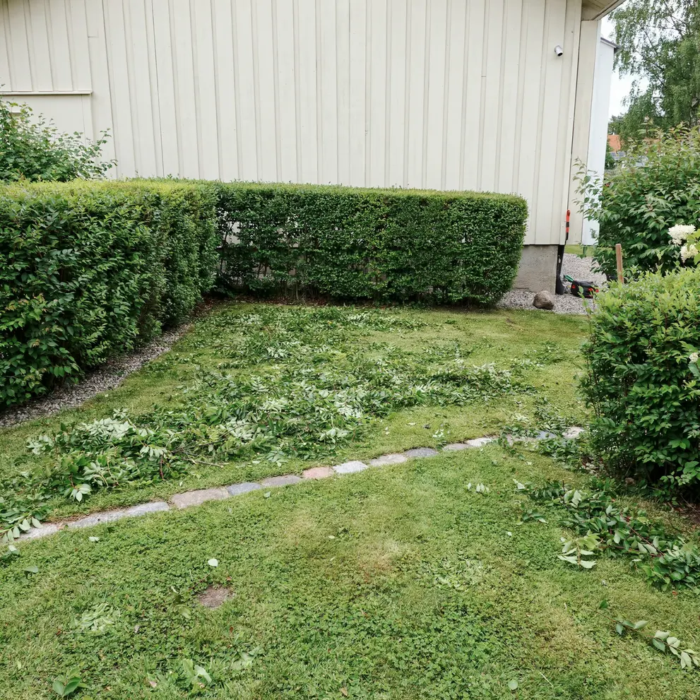 hackklippning landskrona