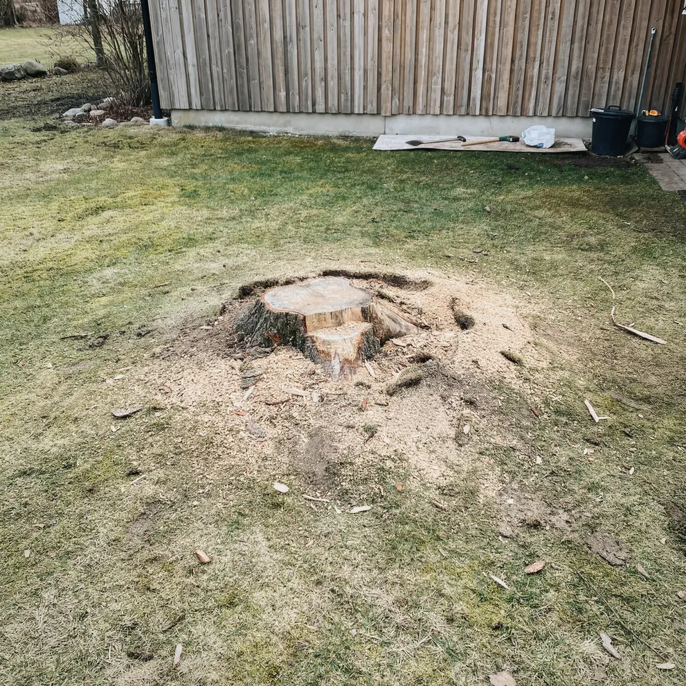 stubbfrasning landskrona